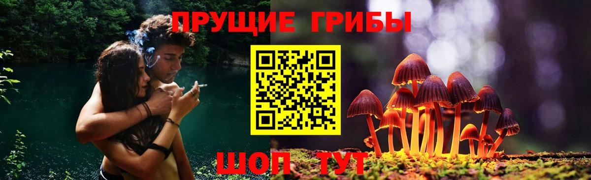 Назарово  Галлюциногенные грибы Psilocybe  Вход с VPN 