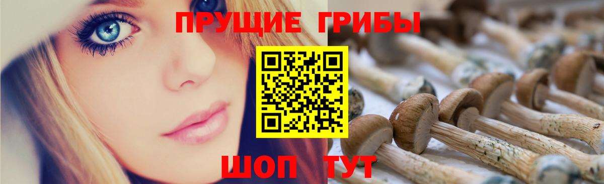 Псилоцибиновые грибы Psilocybe Назарово